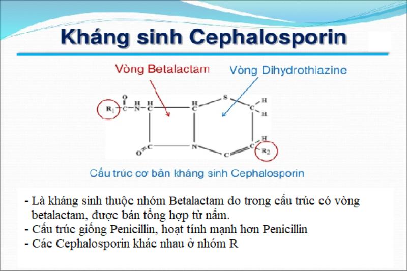 kháng sinh viêm đường tiết niệu