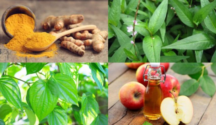 cách chữa bệnh giang mai tại nhà