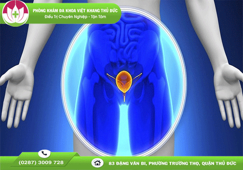 Một số bệnh lý nam khoa phổ biến hiện nay
