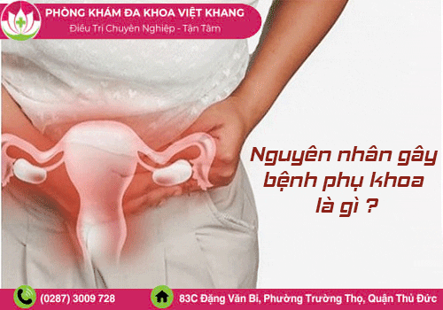 Nguyên nhân gây bệnh phụ khoa là gì?